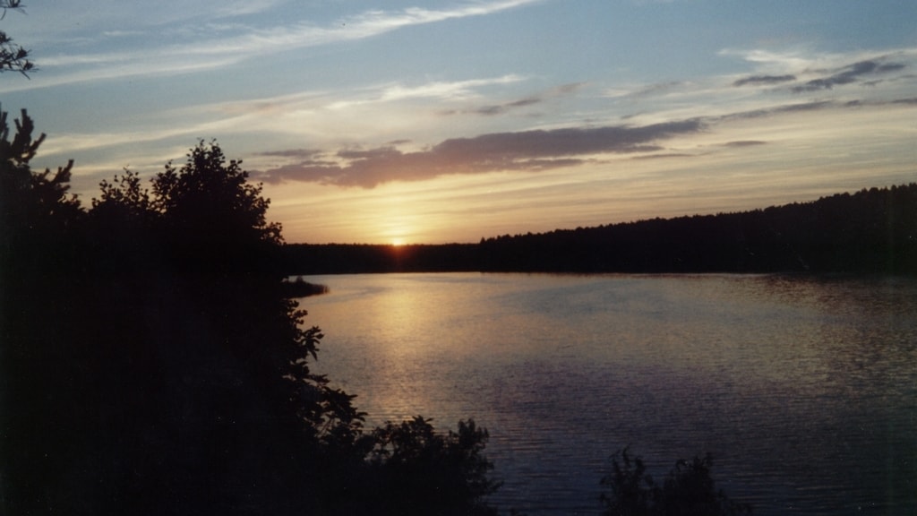 Biała KSM