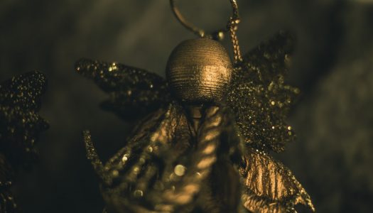 Mały Głód: 24.12.2017