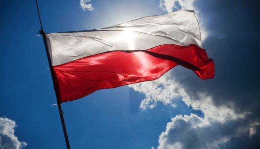 Słowo Asystenta na&nbsp;listopad