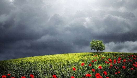 Mały Głód 13.06.2021